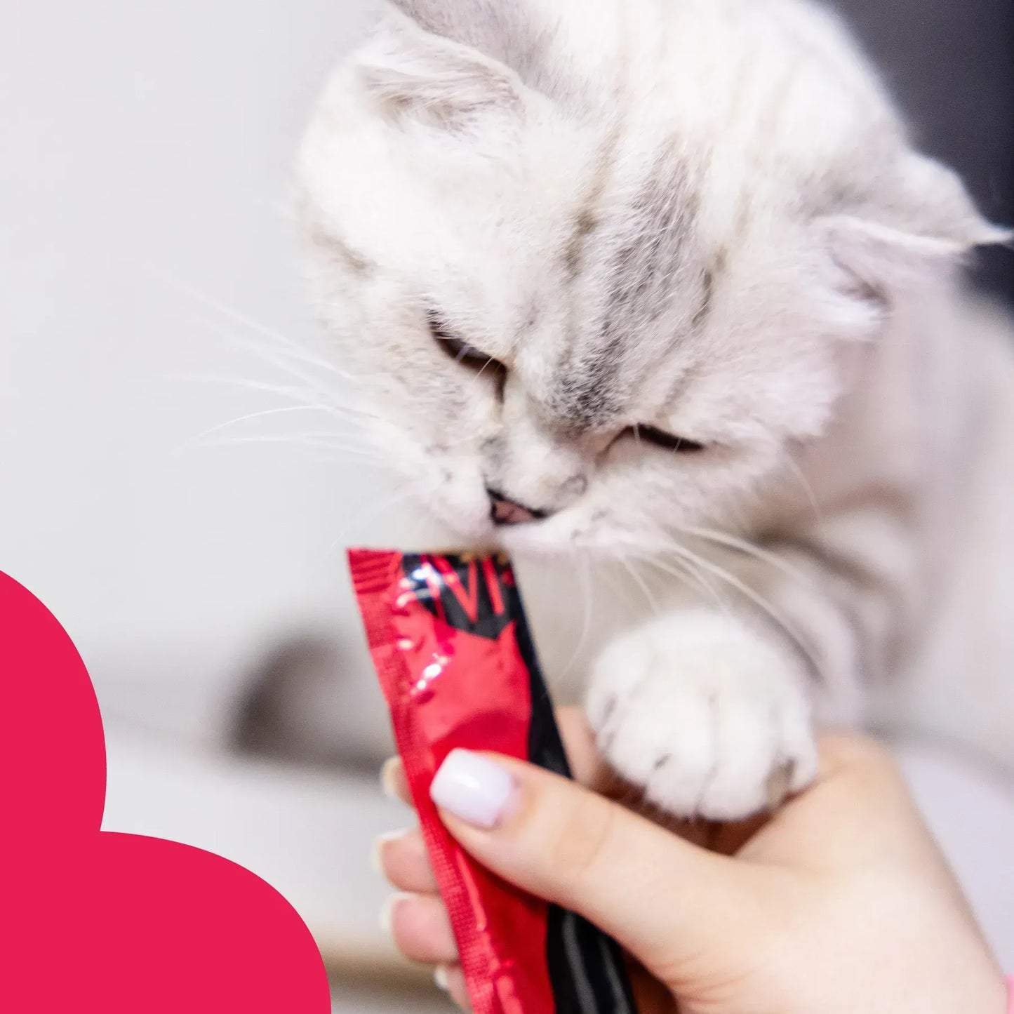 Лакомство кремовое для кошек Mavsy в виде паштета из утиной грудинки, клюквенного суфле и тимьяна