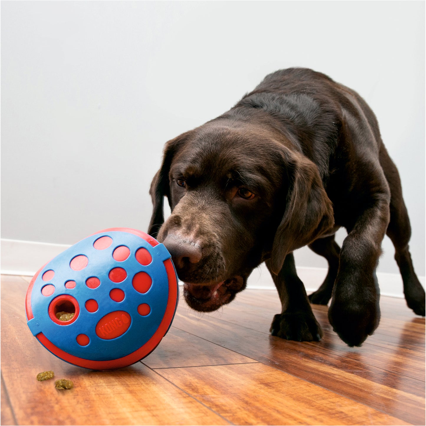 KONG® Дозатор лакомств Wally