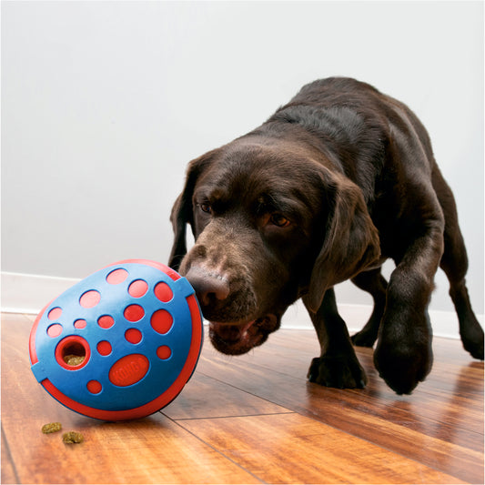 KONG®  Дозатор лакомств Wally