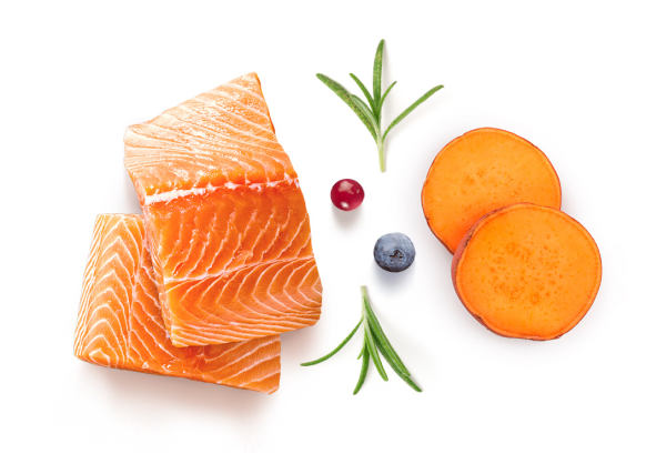 GRANDORF Fresh Salmon Adult Medium&Maxi