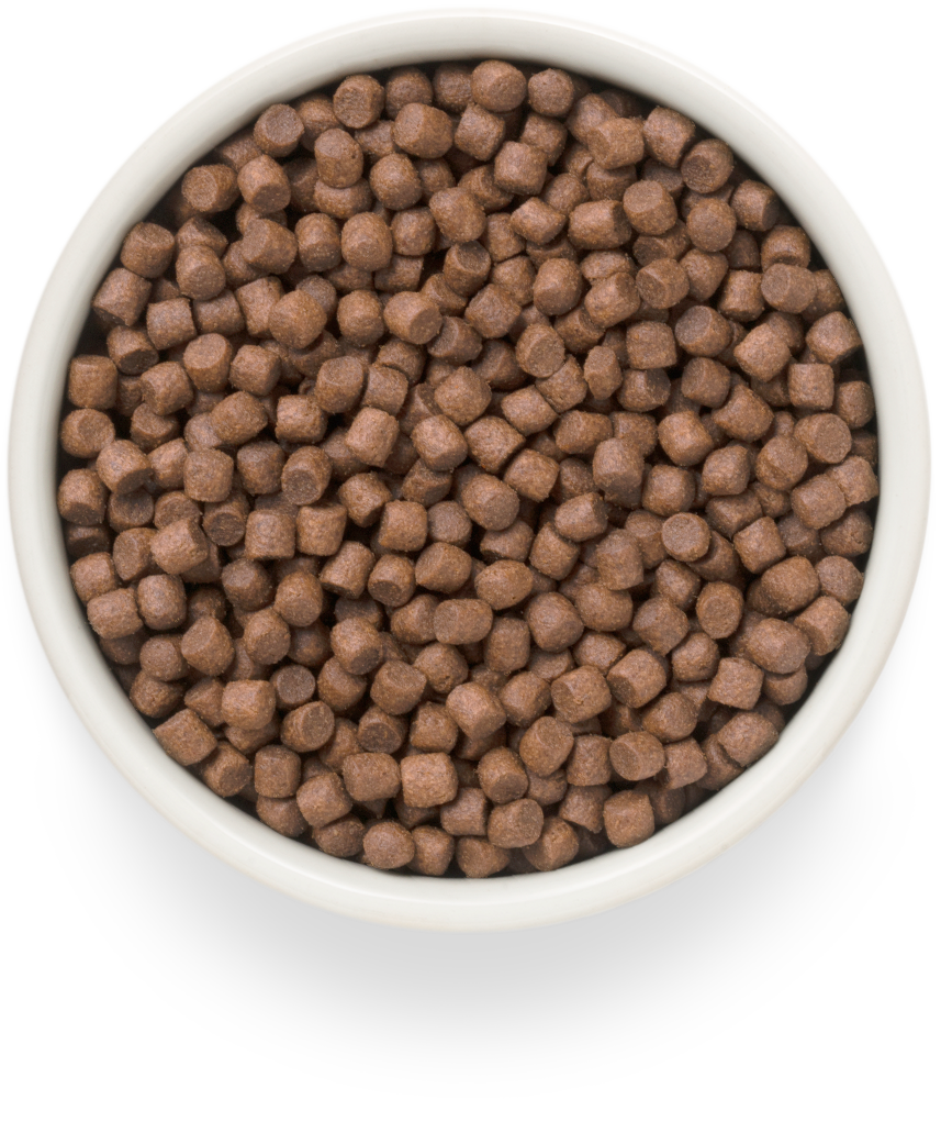 GRANDORF Fresh Duck Adult Mini