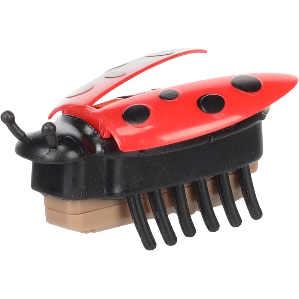 Интерактивная игрушка для кошек Spredda, божья коровка, красная