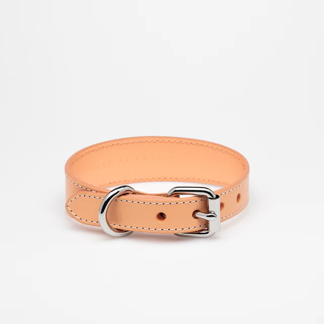 Collar of Sweden Ошейник Apricot (Узкий)