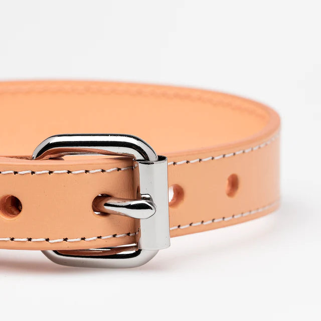 Collar of Sweden Ошейник Apricot (Узкий)