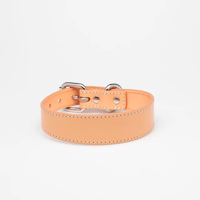 Collar of Sweden Ошейник Apricot (Узкий)