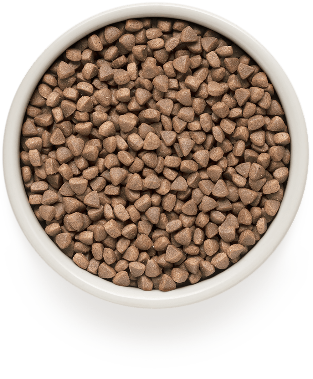 Grandorf Cat White Fish Skin&Coat Care