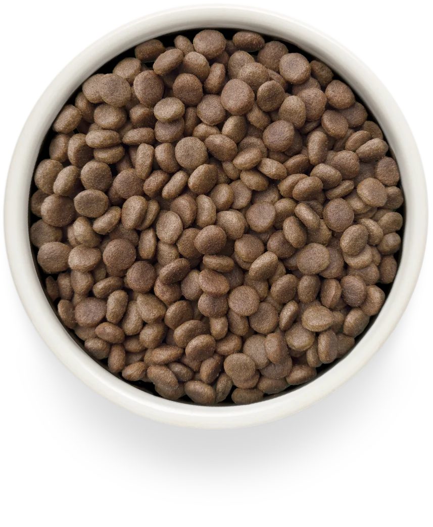 GRANDORF DOG GASTROINTESTINAL LOW FAT