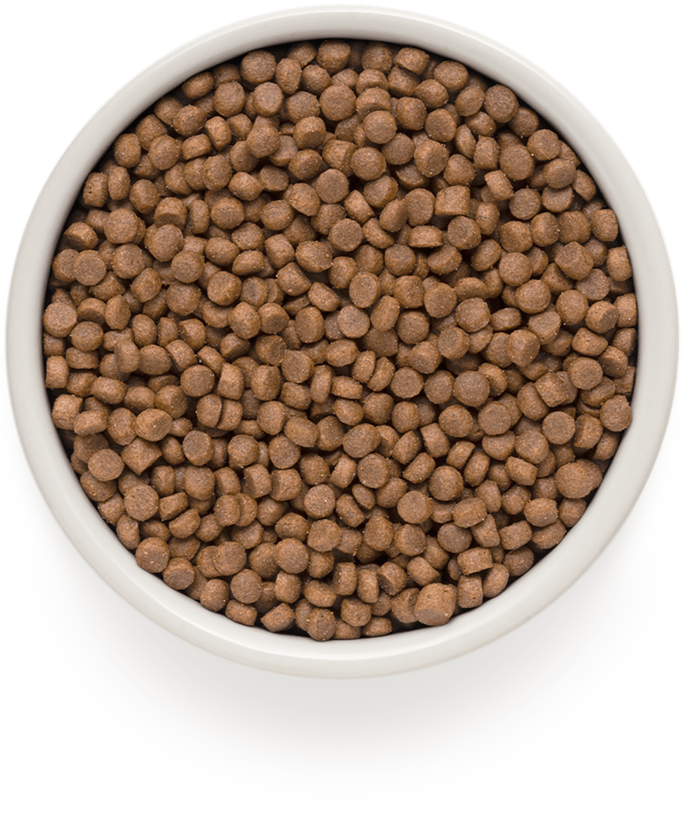Grandorf Cat 4 MEAT Adult Sterilised