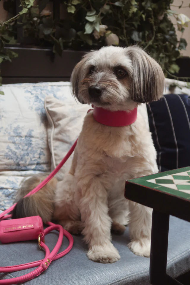 Collar of Sweden Ошейник Hot Pink (Широкий)