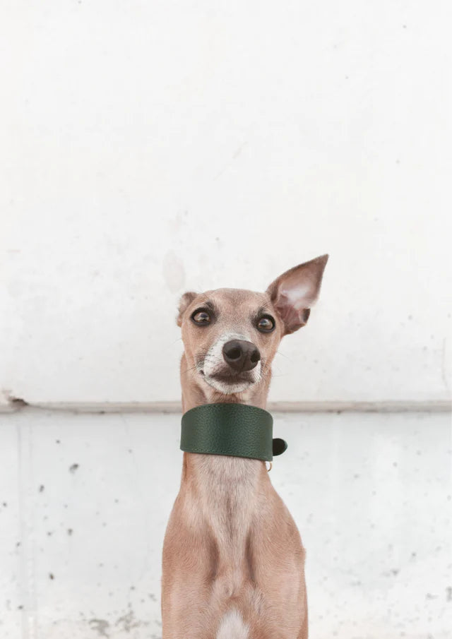 Collar of Sweden Ошейник Dark Green (Широкий)