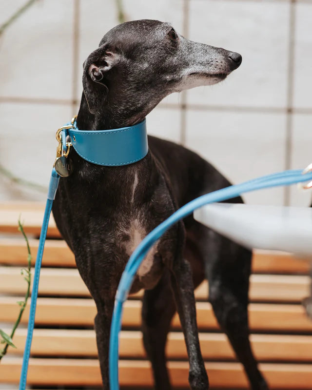 Collar of Sweden Ошейник Neon Blue (Широкий)