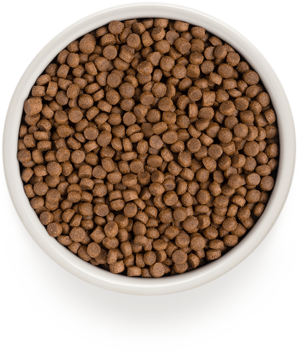 Grandorf Cat 4MEAT Adult Indoor