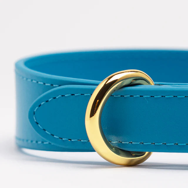 Collar of Sweden Ошейник Neon Blue (Узкий)