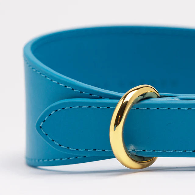 Collar of Sweden Ошейник Neon Blue (Широкий)
