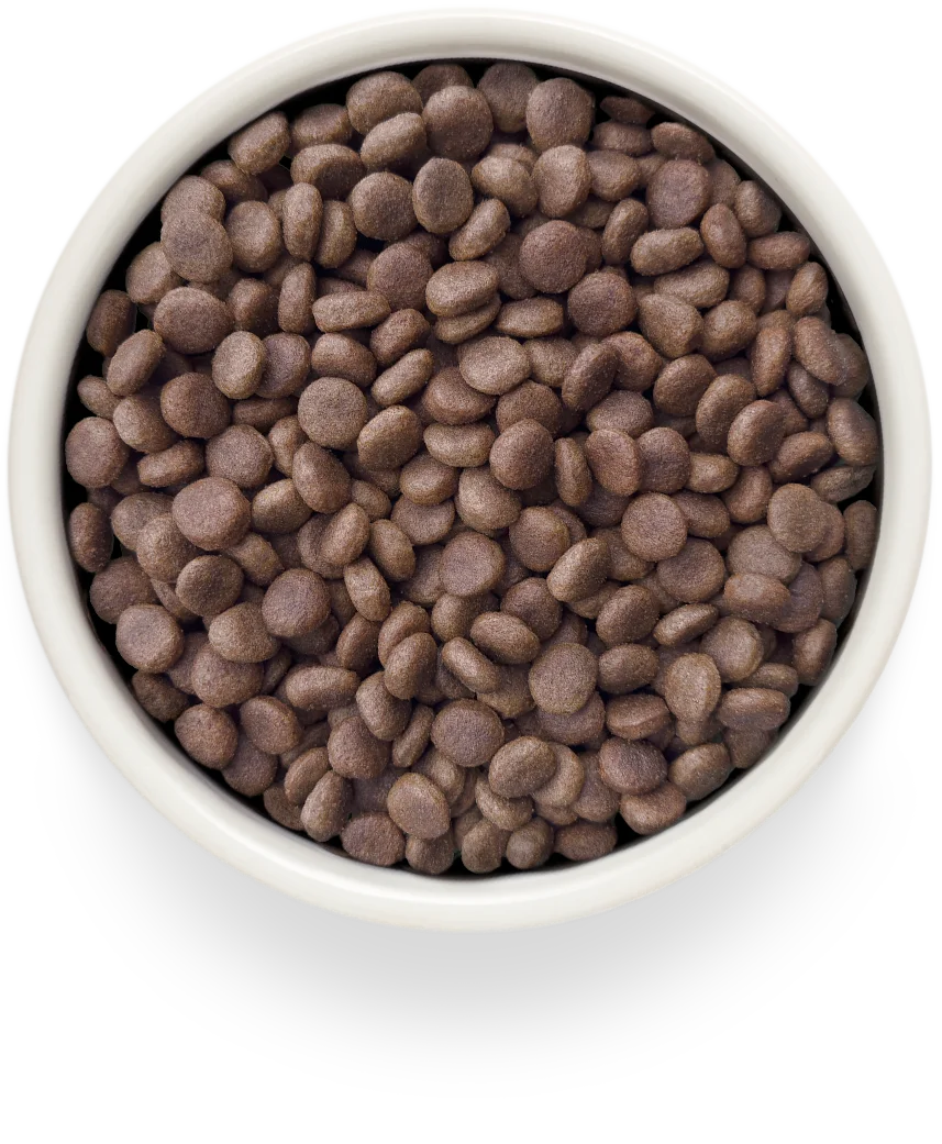 GRANDORF DOG HYPOALLERGENIC
