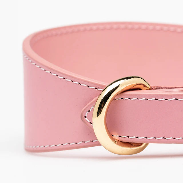 Collar of Sweden Ошейник Pink (Широкий)