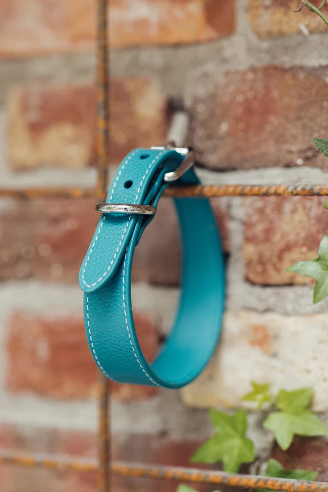 Collar of Sweden Ошейник Turquoise (Узкий)