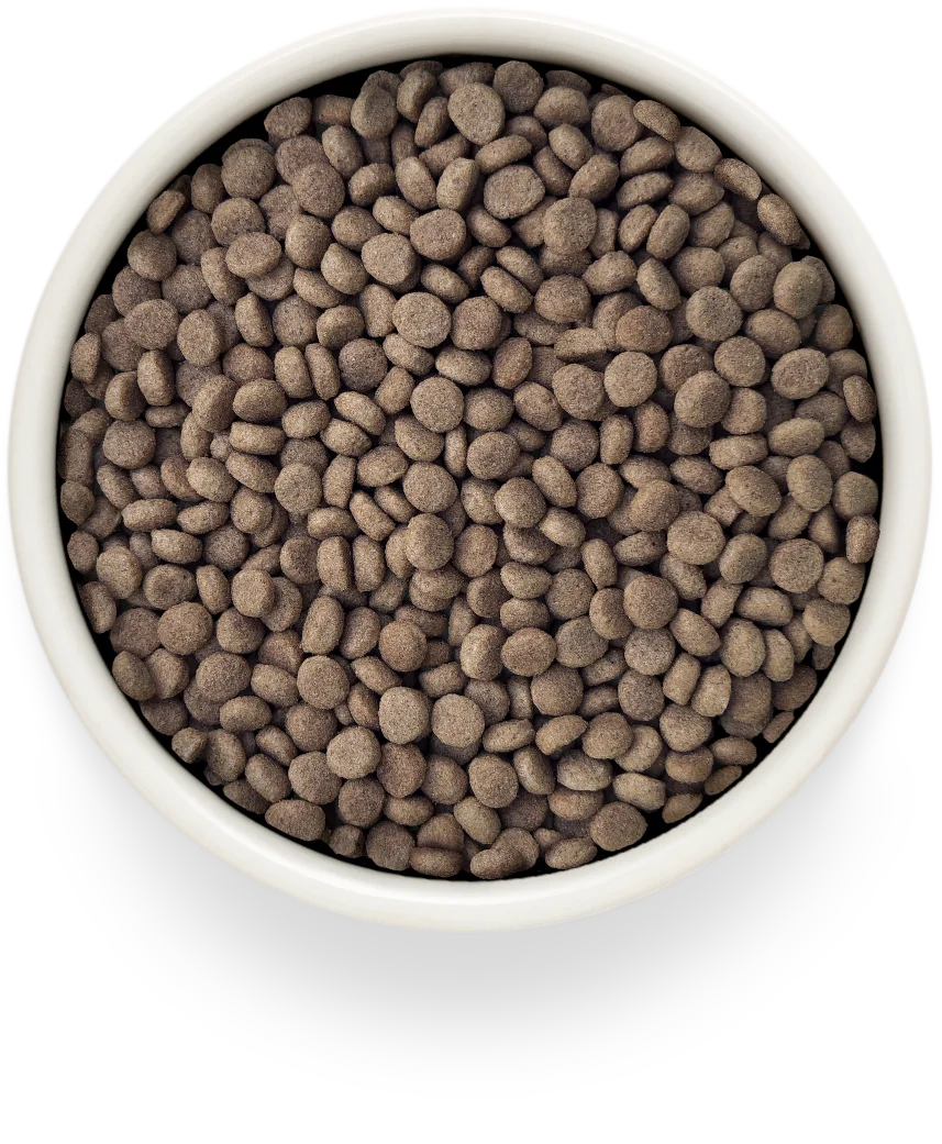 GRANDORF CAT URINARY S/O MODERATE CALORIE