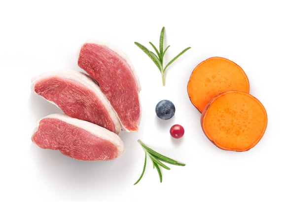 GRANDORF Fresh Duck Adult Mini