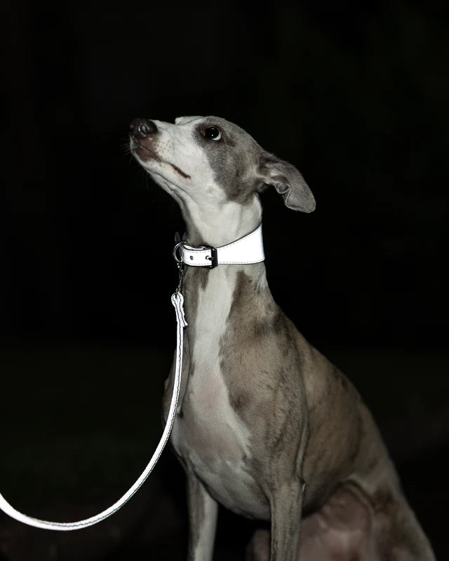 Collar of Sweden Ошейник Reflective Silver (Широкий)
