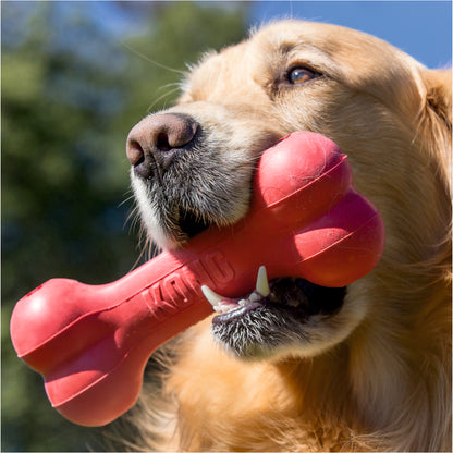 KONG Goodie Bone