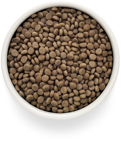 GRANDORF  CAT GASTROINTESTINAL MODERATE CALORIE