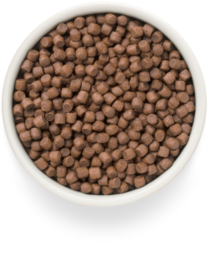 GRANDORF Fresh Duck Adult Mini