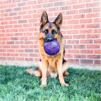 KONG®  Toy Flexball, фиолетовый