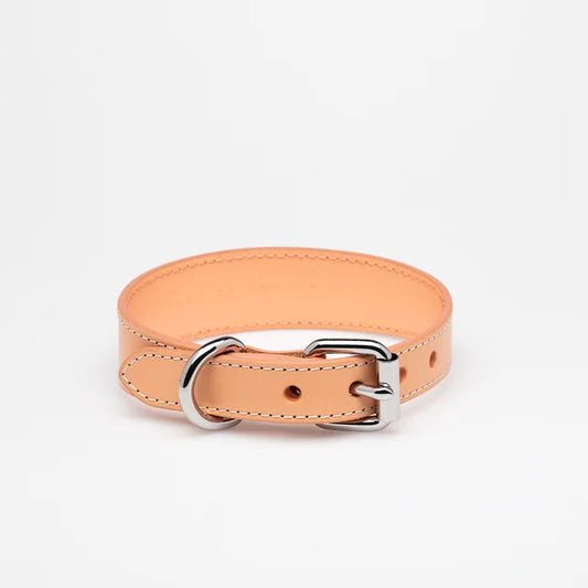 Collar of Sweden Ошейник Apricot (Узкий)