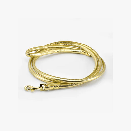 Collar of Sweden Поводок Gold Metallic