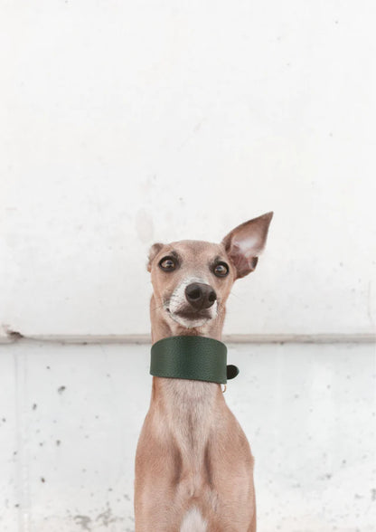 Collar of Sweden Ошейник Dark Green (Широкий)