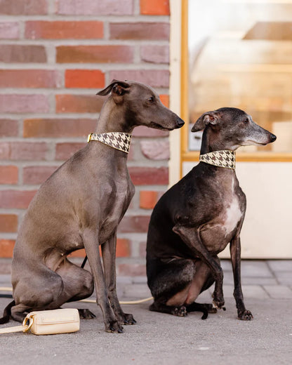 Collar of Sweden Ошейник Beige Houndstooth (Широкий)
