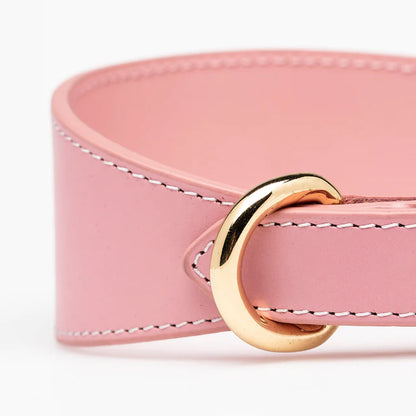 Collar of Sweden Ошейник Pink (Широкий)
