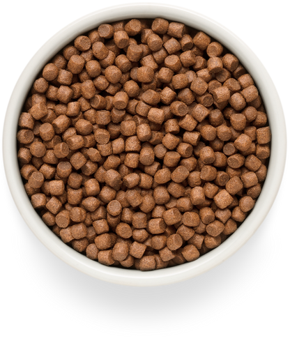 GRANDORF Fresh Salmon Adult Mini