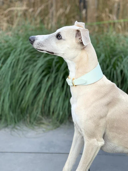 Collar of Sweden Ошейник Mint (Широкий)